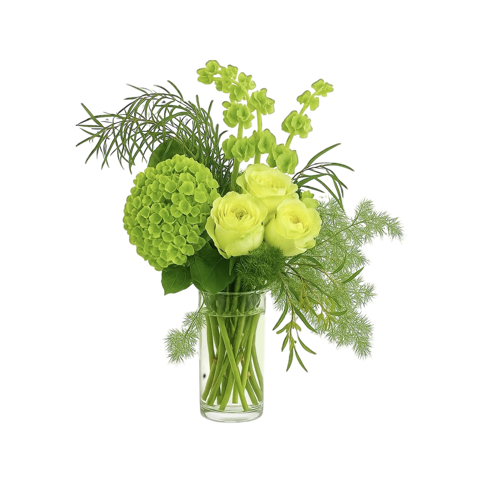 Fresh Green