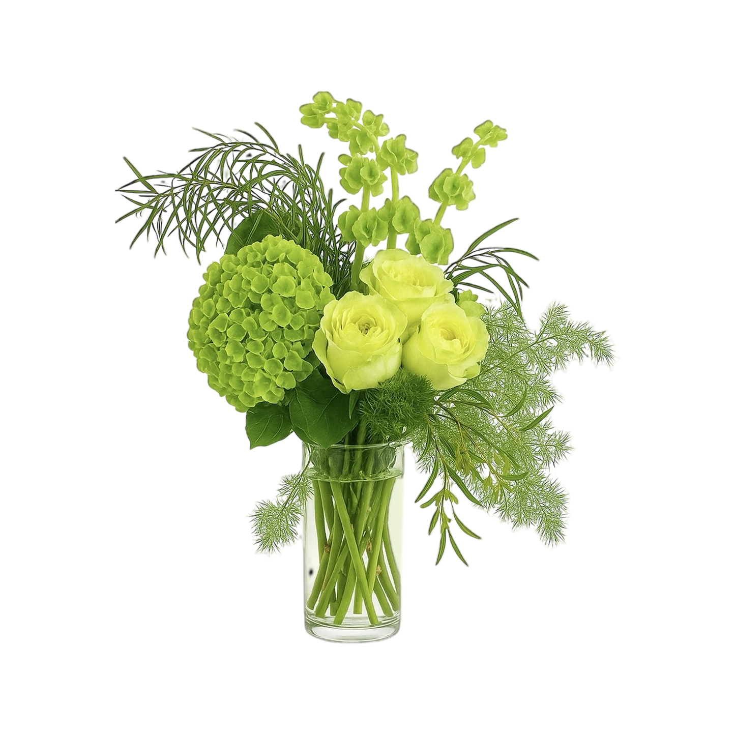 Fresh Green