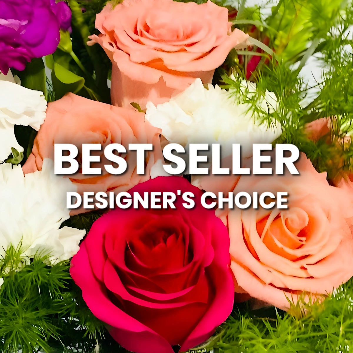Best Seller Designer's Choice