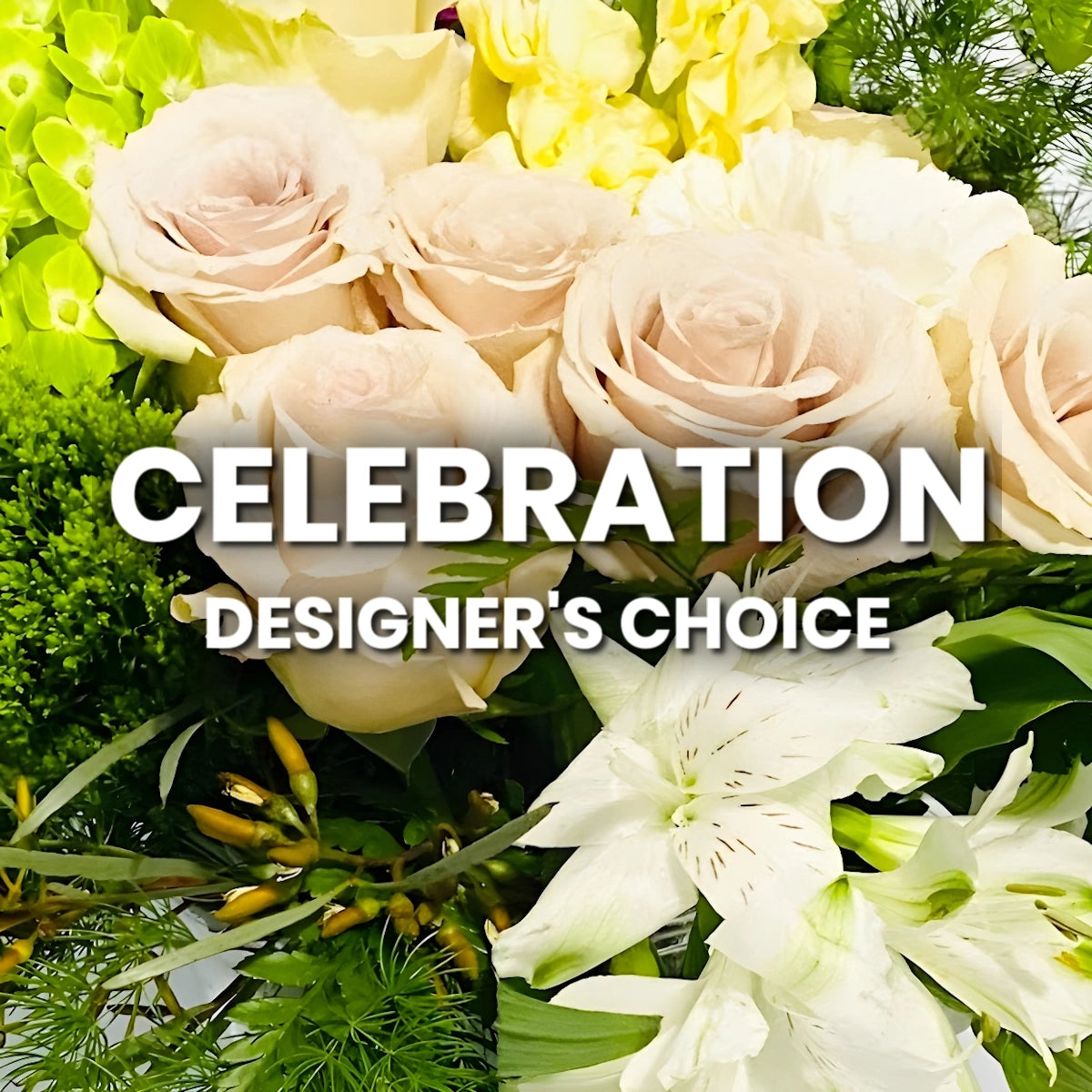 Celebration Designer's Choice