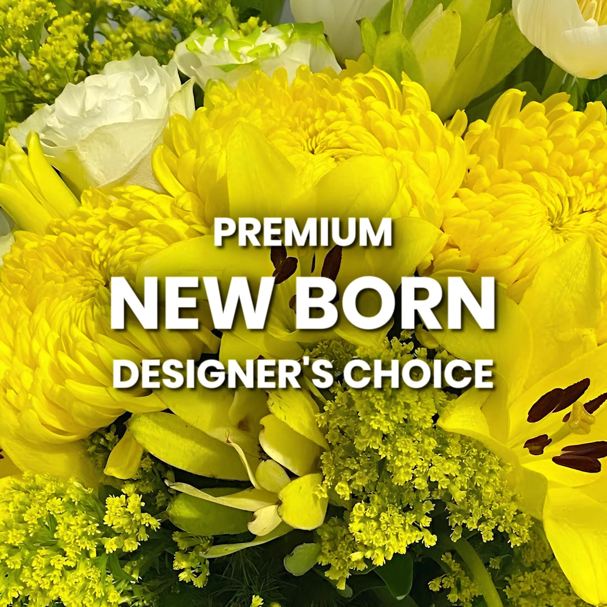 New Born Designer's Choice Premium