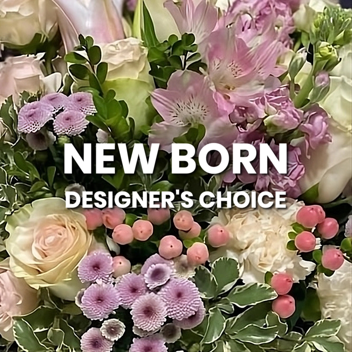 New Born Designer's Choice