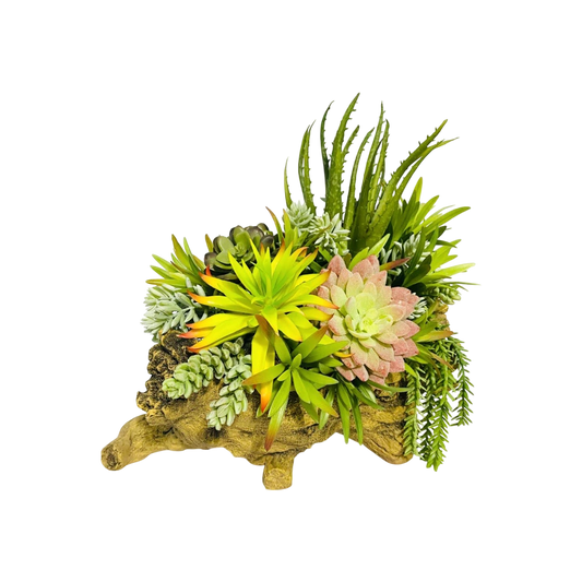 Succulent Serenity Log