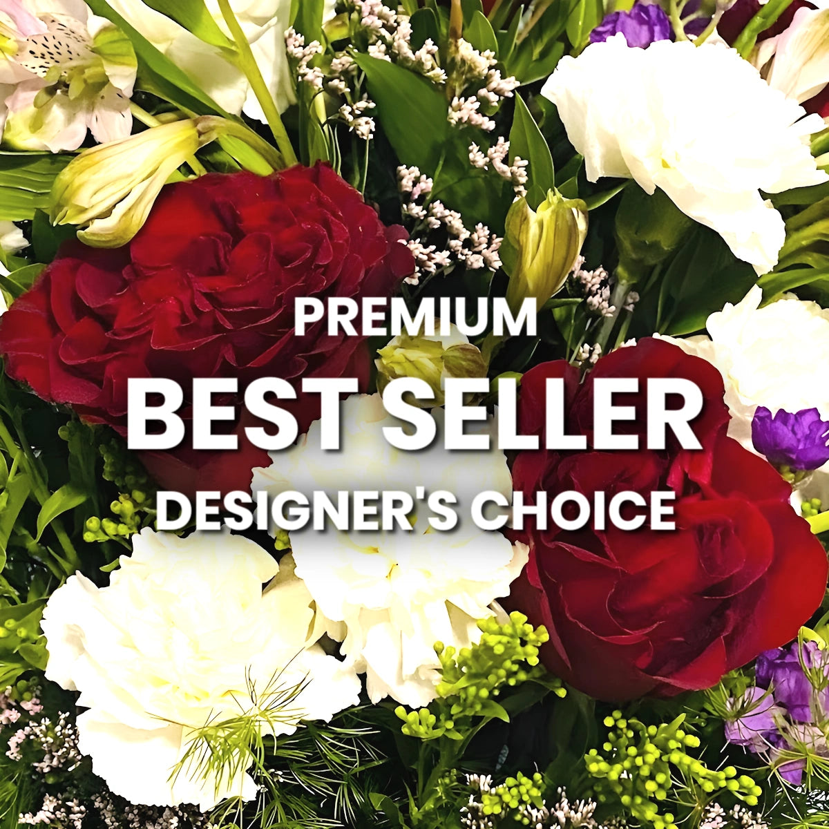 Best Seller Designer's Choice Premium
