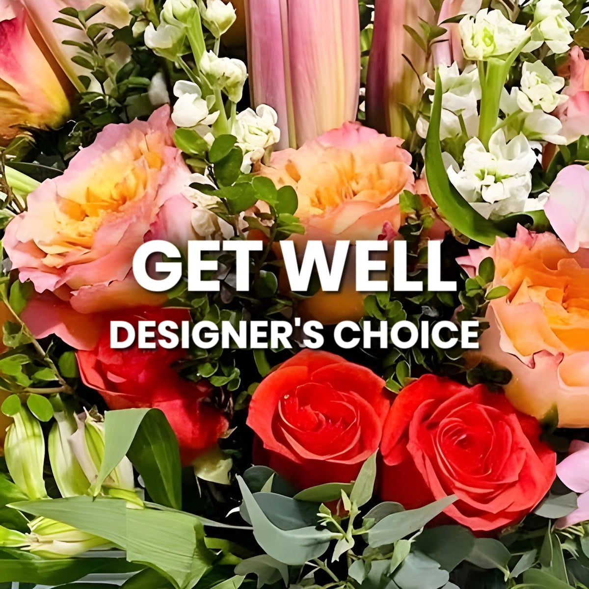 Get Well Designer's Choice