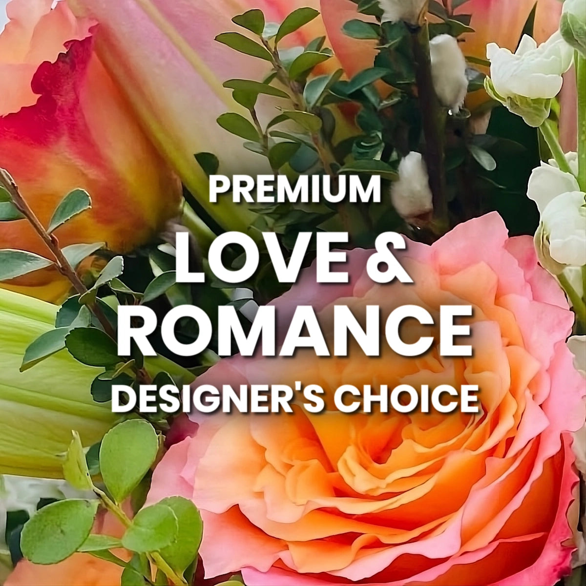 Love & Romance Designer's Choice Premium