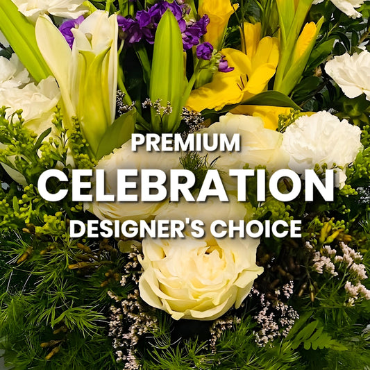 Celebration Designer's Choice Premium